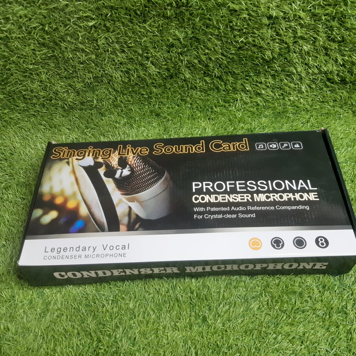 professional condenser microphone