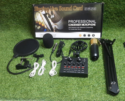 professional condenser microphone